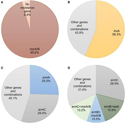 Prevalence of Genotypes That Determine Resistance of Staphylococci to <mark class="highlighted">Macrolides</mark> and Lincosamides in Serbia